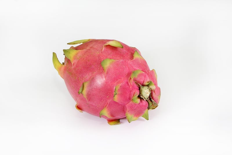 Dragon Fruit Cactus